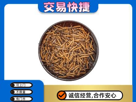 昌都回收散虫草